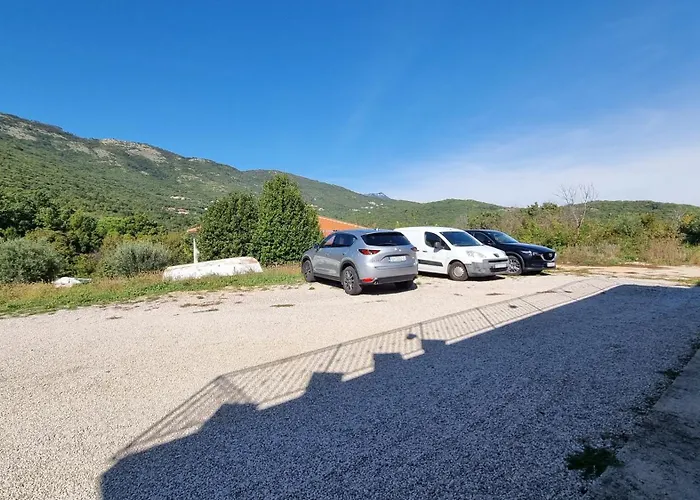 Barbara 布鲁赛吉